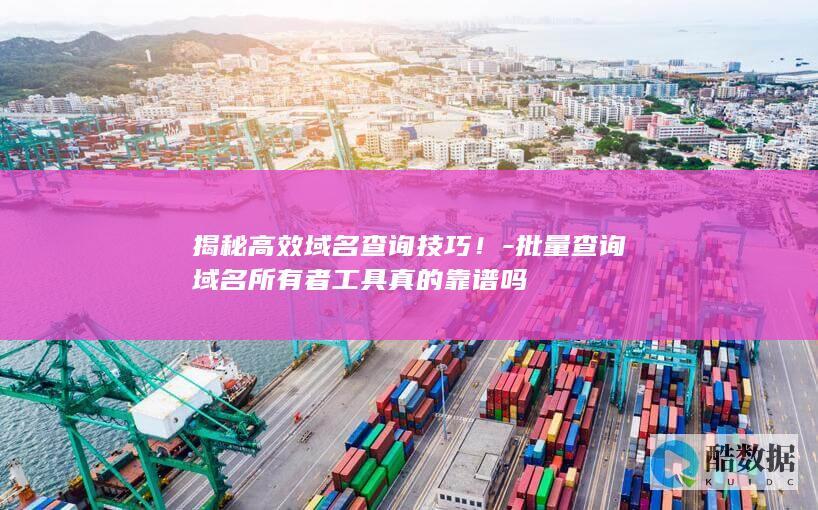 揭秘高效域名查询技巧！-批量查询域名所有者工具真的靠谱吗