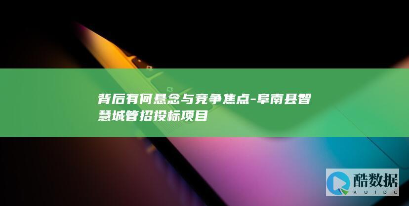 背后有何悬念与竞争焦点-阜南县智慧城管招投标项目