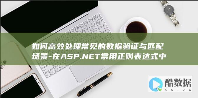 如何高效处理常见的数据验证与匹配场景-在ASP.NET常用正则表达式中