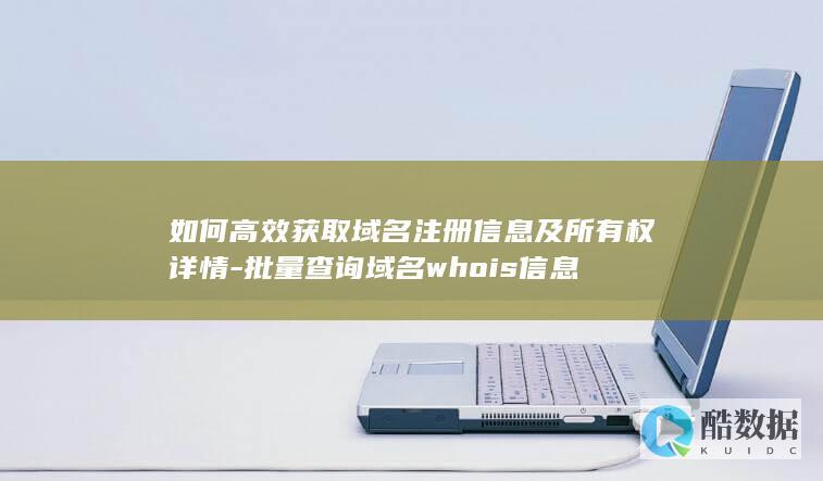 如何高效获取域名注册信息及所有权详情-批量查询域名whois信息