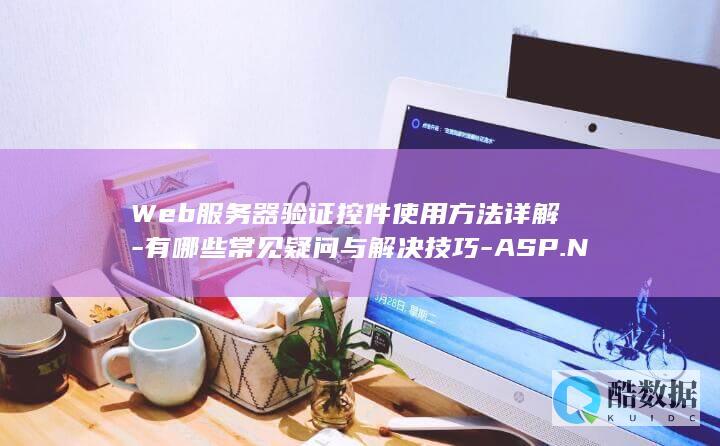 Web服务器验证控件使用方法详解-有哪些常见疑问与解决技巧-ASP.NET