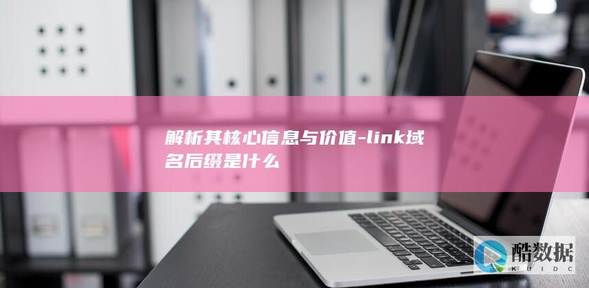 解析其核心信息与价值-link域名后缀是什么
