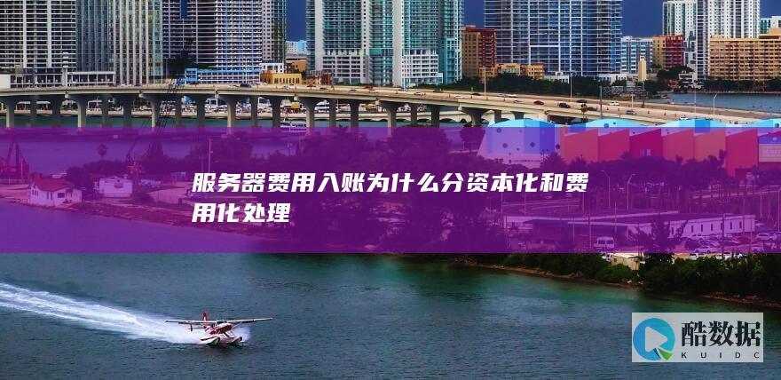 服务器费用入账为什么分资本化和费用化处理
