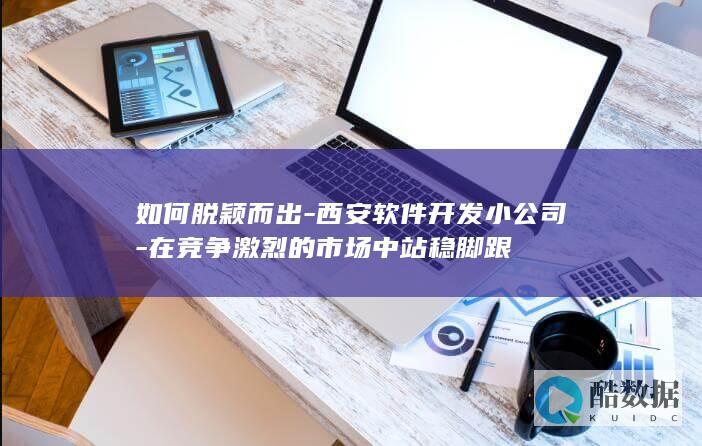 如何脱颖而出-西安软件开发小公司-在竞争激烈的市场中站稳脚跟