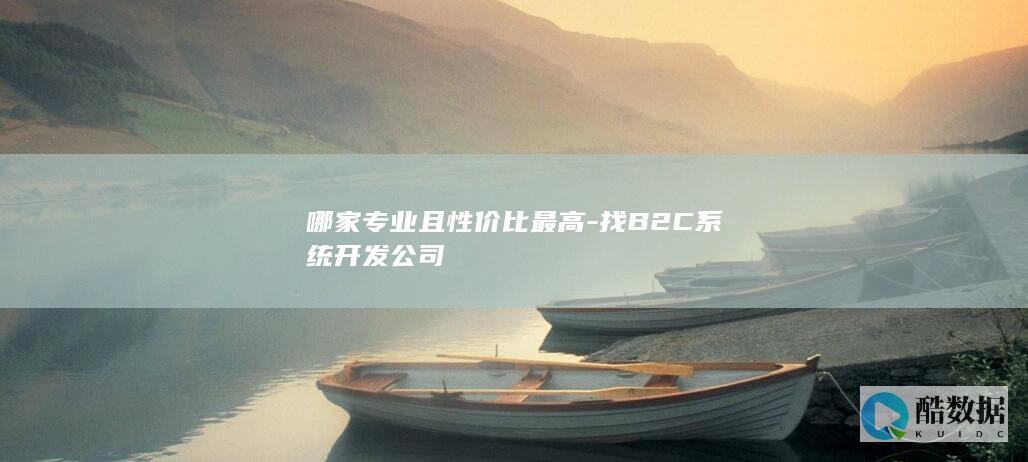 哪家专业且性价比最高-找B2C系统开发公司