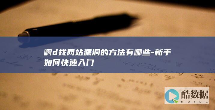 啊d找网站漏洞的方法有哪些-新手如何快速入门