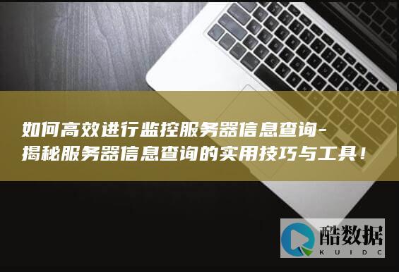 如何高效进行监控服务器查询