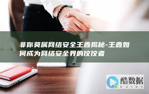 非你莫属网络安全王鑫揭秘-王鑫如何成为网络安全界的佼佼者