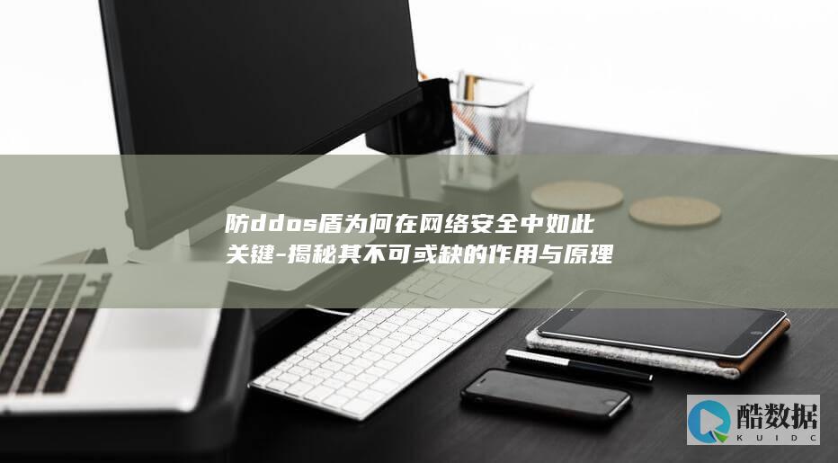 防ddos盾为何在网络安全中如此关键-揭秘其不可或缺的作用与原理