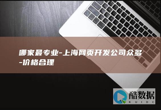 哪家最专业-上海网页开发公司众多-价格合理