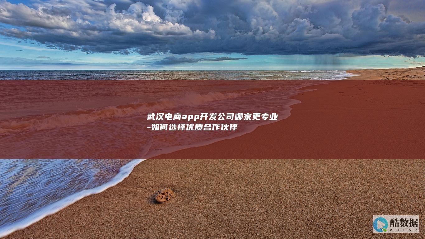 武汉电商app开发公司哪家更专业-如何选择优质合作伙伴
