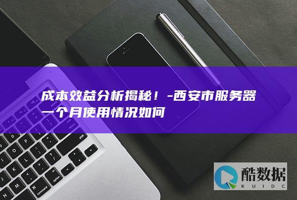 成本效益分析揭秘！-西安市服务器一个月使用情况如何