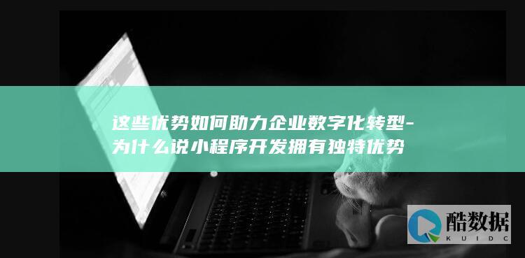 这些优势如何助力企业数字化转型-为什么说小程序开发拥有独特优势