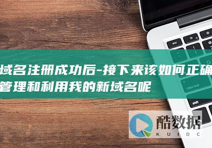域名注册成功后-接下来该如何正确管理和利用我的新域名呢