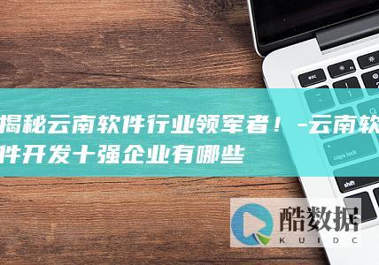 揭秘云南软件行业领军者！-云南软件开发十强企业有哪些