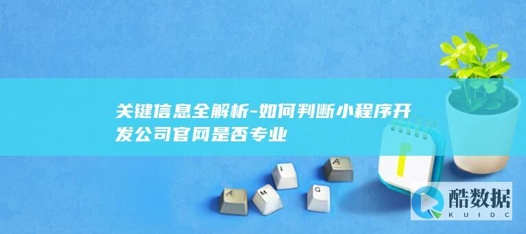 小程序公司官网专业度关键信息