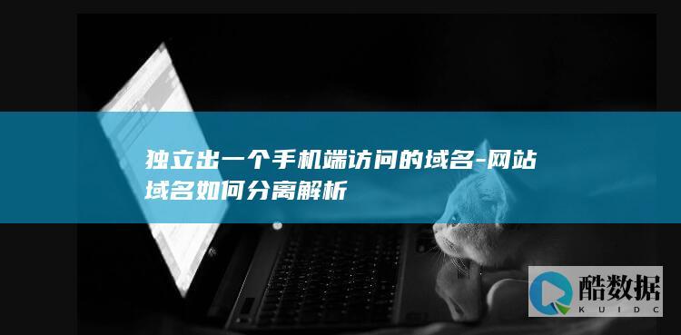 网站域名如何分离解析