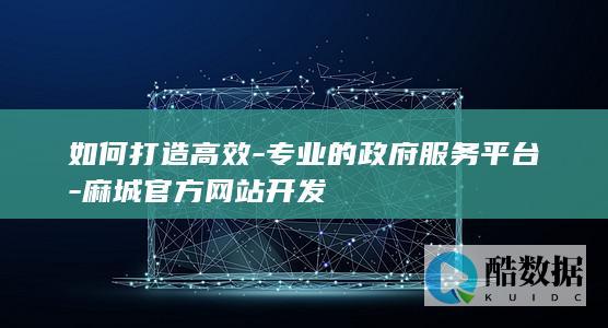 政府服务平台优化策略