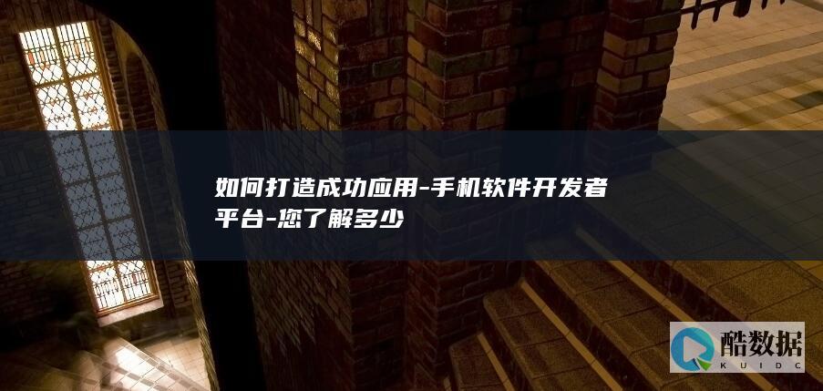如何打造成功应用-手机软件开发者平台-您了解多少