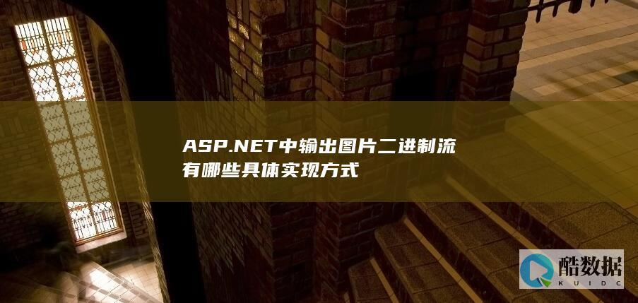 ASP.NET中输出图片二进制流有哪些具体实现方式