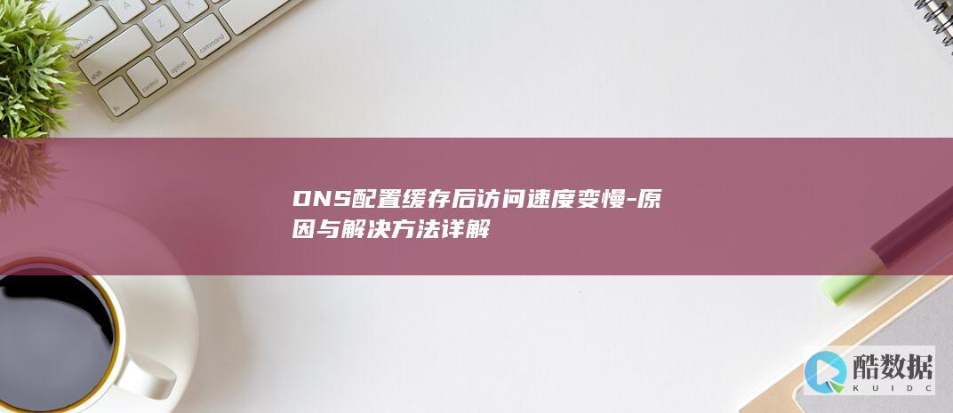 DNS缓存访问速度变慢解决