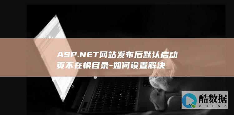 NET网站启动页设置