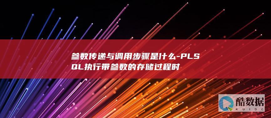 PLSQL执行带参数的程时