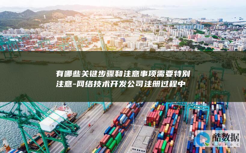 有哪些关键步骤和注意事项需要特别注意-网络技术开发公司注册过程中