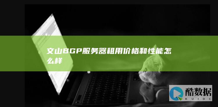 文山BGP器租用价格和性能怎么样
