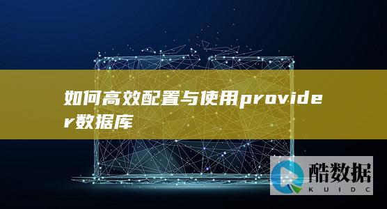 provider数据库的性能优化技巧