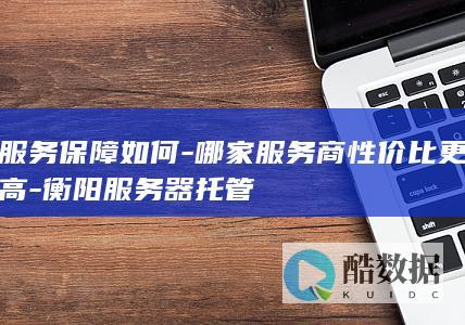 衡阳服务器托管服务保障对比