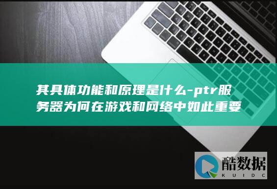 PTR服务器游戏应用
