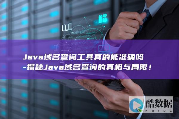 Java域名查询工具真的能准确吗-揭秘Java域名查询的真相与局限！