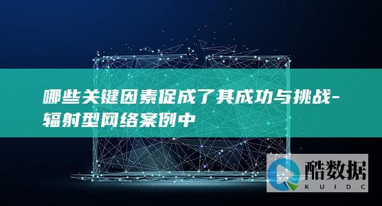 哪些关键因素促成了其成功与挑战-辐射型网络案例中