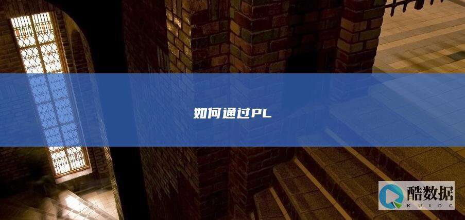 如何通过PL