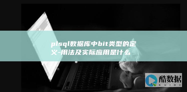 plsql数据库中bit类型的定义-用法及实际应用是什么