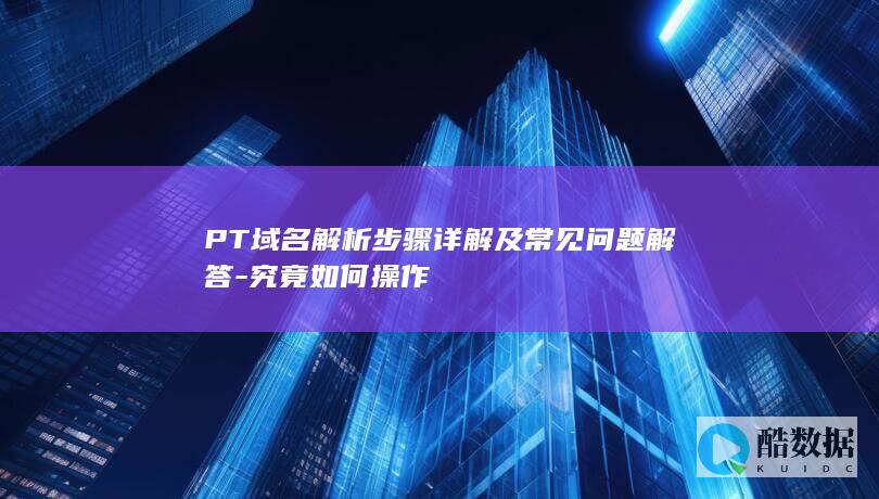 PT域名解析详细步骤