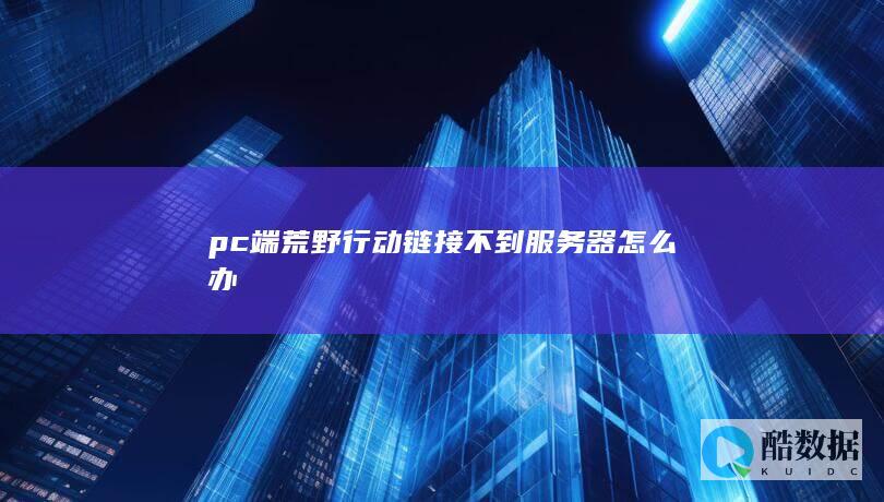 pc端荒野行动链接不到服务器怎么办