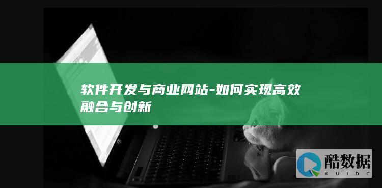 创新商业网站软件开发模式