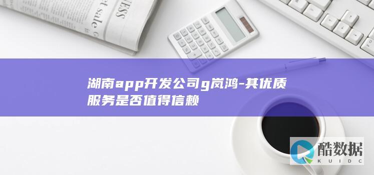 g岚鸿app开发公司服务可靠性考察