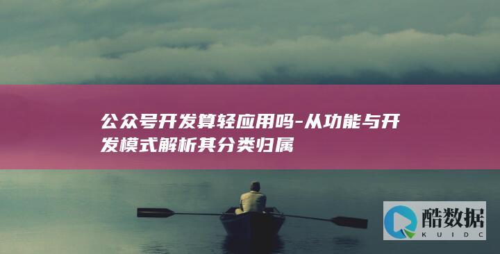 从功能与开发模式解析其分类归属