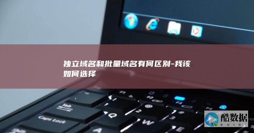 独立域名和批量域名