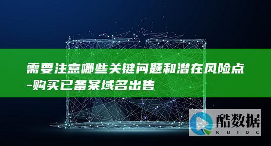 需要注意哪些关键问题和潜在风险点