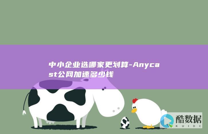 中小企业选哪家更划算-Anycast公网加速多少钱