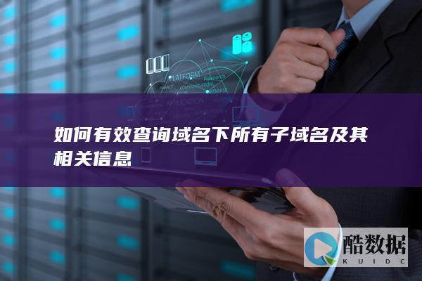 如何有效查询域名下所有子域名及其相关信息