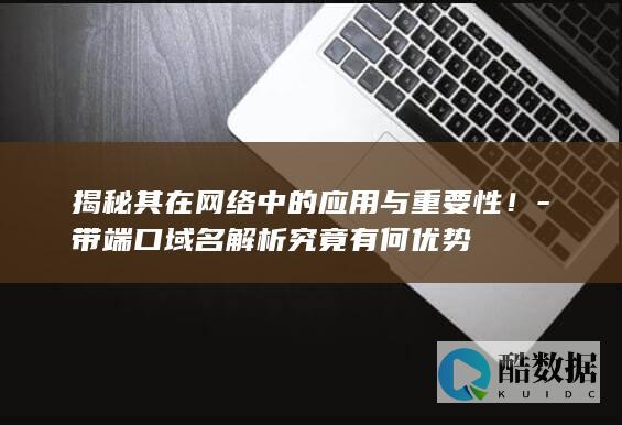 揭秘其在网络中的应用与重要性！