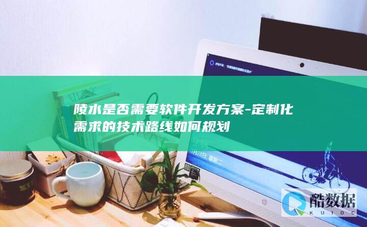 陵水是否需要软件开发方案-定制化需求的技术路线如何规划