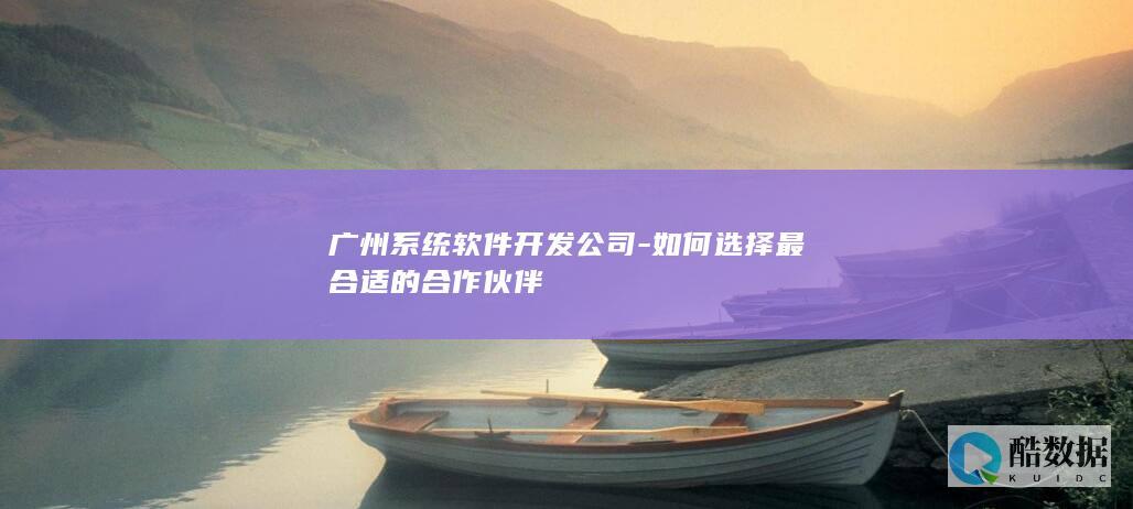 广州系统软件公司