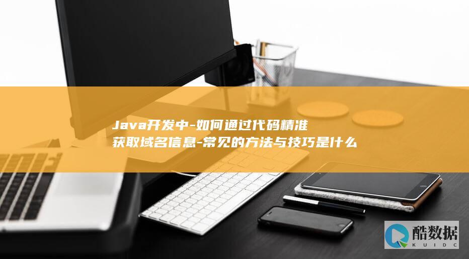 Java开发中-如何通过代码精准获取域名信息-常见的方法与技巧是什么