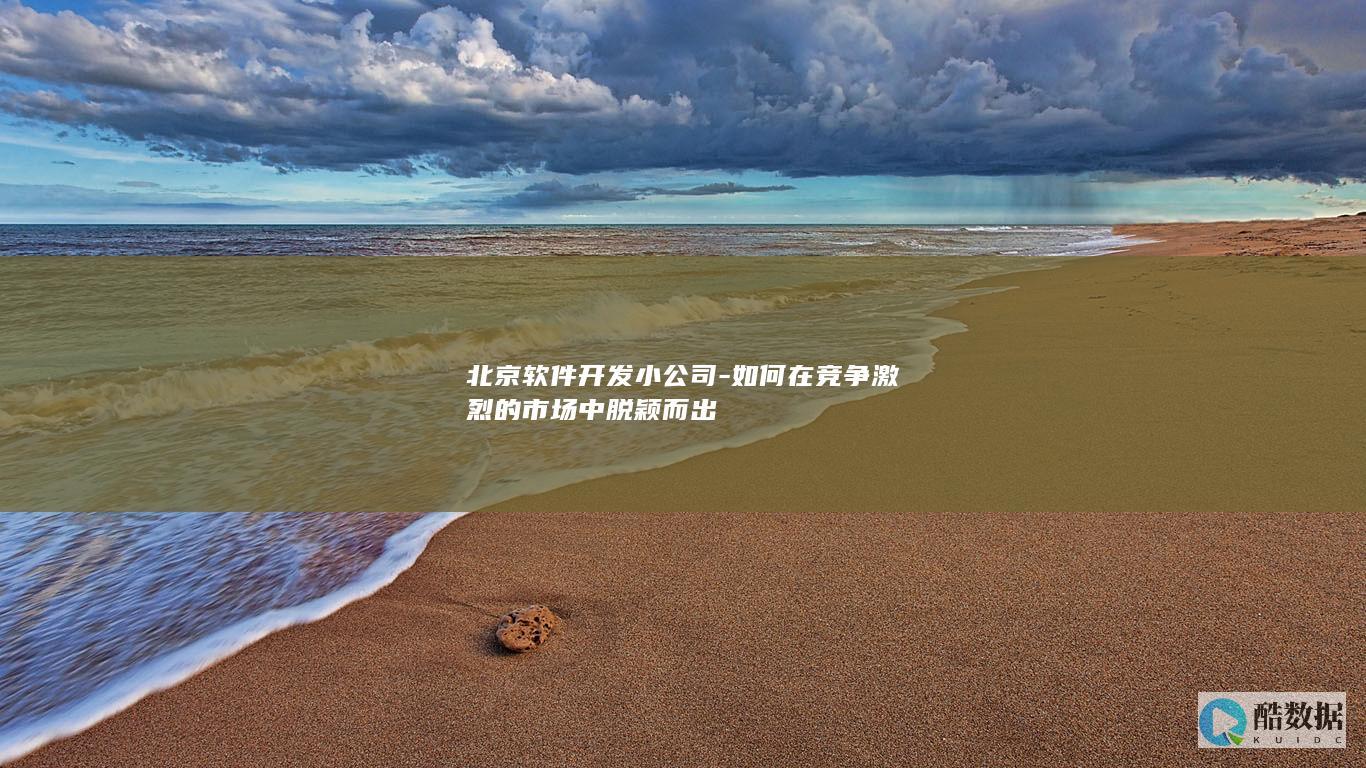 创新模式助力北京小软件开发公司